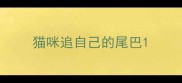 猫咪追自己的尾巴