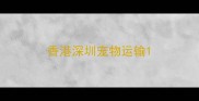 香港深圳宠物运输