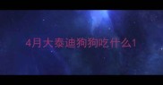 4月大泰迪狗狗吃什么