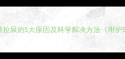 小狗频繁拉屎的5大原因及科学解决方法附护理指南