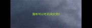 猫咪可以吃的消炎药