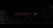 拉布拉多是什么样