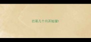 巴哥几个月开始溜
