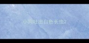 小狗吐出白色长虫