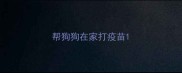 帮狗狗在家打疫苗