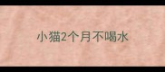小猫2个月不喝水