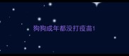 狗狗成年都没打疫苗