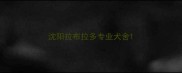 沈阳拉布拉多专业犬舍