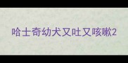 哈士奇幼犬又吐又咳嗽