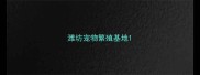 潍坊宠物繁殖基地