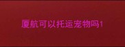 厦航可以托运宠物吗