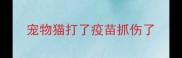 宠物猫打了疫苗抓伤了