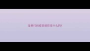 宠物打的疫苗都防疫什么的