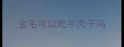 金毛可以吃牛肉干吗