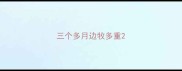 三个多月边牧多重
