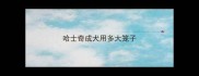 哈士奇成犬用多大笼子