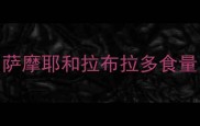 萨摩耶和拉布拉多食量