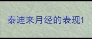 泰迪来月经的表现