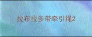 拉布拉多带牵引绳