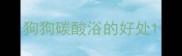 狗狗碳酸浴的好处