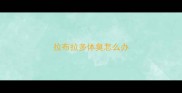 拉布拉多体臭怎么办