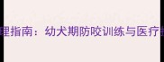 三个月大小狗咬人紧急处理指南幼犬期防咬训练与医疗护理全攻略家长必看