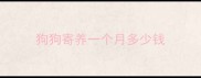 狗狗寄养一个月多少钱