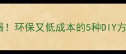 自制猫厕所除臭神器环保又低成本的5种DIY方案附除味全攻略