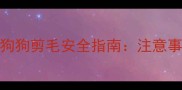 未接种疫苗狗狗剪毛安全指南注意事项与操作全