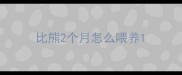 比熊2个月怎么喂养