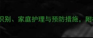 狗狗胰腺炎全攻略症状识别家庭护理与预防措施附权威治疗方案最新版