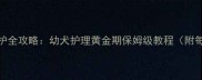 哈士奇40天养护全攻略幼犬护理黄金期保姆级教程附每日护理清单