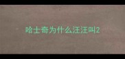 哈士奇为什么汪汪叫