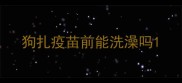 狗扎疫苗前能洗澡吗