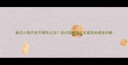 新买小狗不吃不喝怎么办幼犬拒食原因及紧急处理全攻略