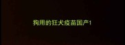 狗用的狂犬疫苗国产