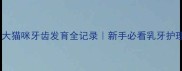 两个月大猫咪牙齿发育全记录新手必看乳牙护理指南