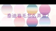 泰迪卷毛怎么弄直