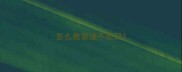 怎么教泰迪不乱日