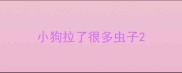 小狗拉了很多虫子