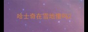 哈士奇在雪地傻吗