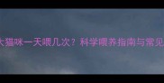 一个月大猫咪一天喂几次科学喂养指南与常见误区全