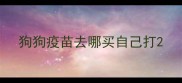 狗狗疫苗去哪买自己打