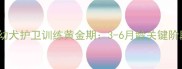 罗威纳幼犬护卫训练黄金期3-6月龄关键阶段全攻略