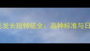 纯种金毛犬毛发长短特征全品种标准与日常养护指南