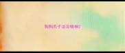 狗狗爪子凉没精神