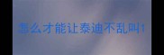 怎么才能让泰迪不乱叫