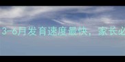 雪纳瑞成长黄金期3-6月发育速度最快家长必看的科学养护指南
