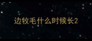 边牧毛什么时候长