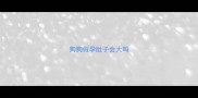 狗狗假孕肚子会大吗